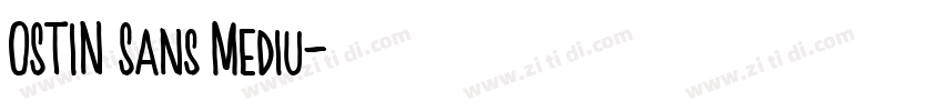 OSTIN Sans Mediu字体转换 OSTIN Sans Mediu字体转换